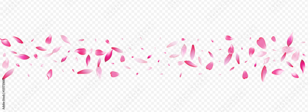 Red Rose Vector Panoramic Transparent Background.