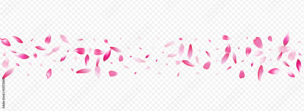Red Rose Vector Panoramic Transparent Background. Red Rose Vector Panoramic Transparent Background.