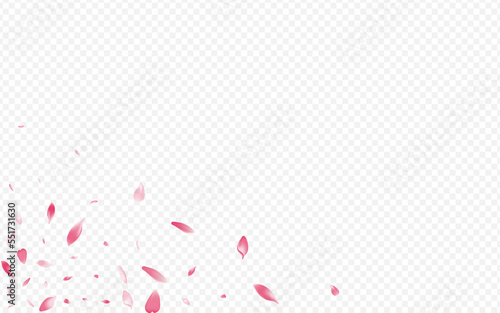 Red Bloom Vector Transparent Background. Lotus
