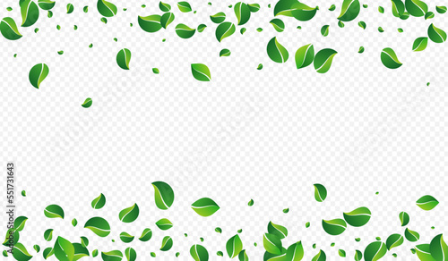 Forest Foliage Fly Vector Transparent Background.