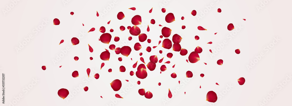 Red Petal Falling Vector Panoramic White Red Petal Falling Vector Panoramic White