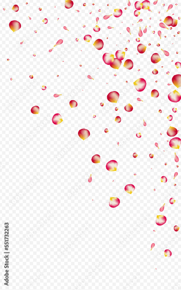 Red Rose Tender Vector Transparent Background. Red Rose Tender Vector Transparent Background.