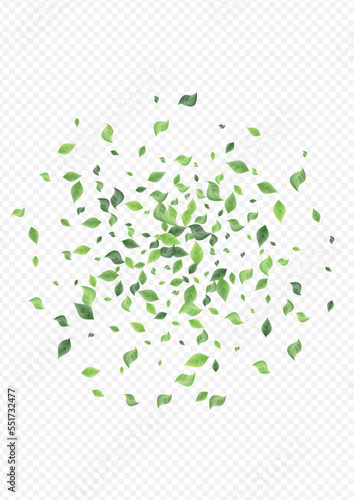 Lime Leaves Ecology Vector Transparent Background