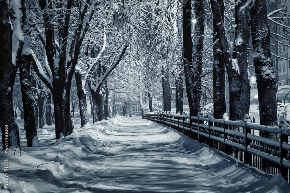 Winter park at night with lights, pavement covered with snow and trees ...