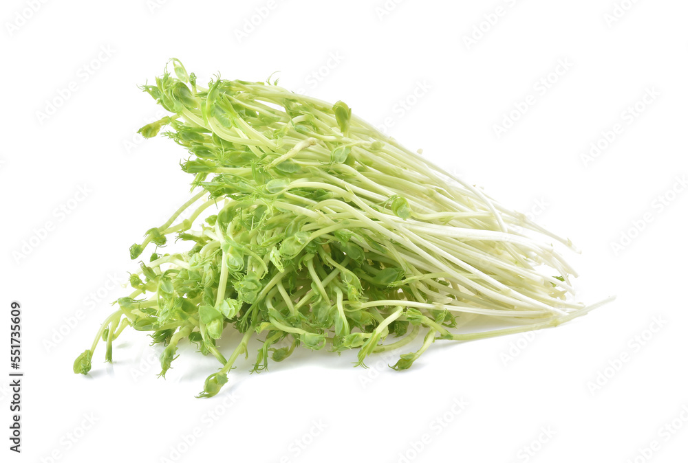 snow pea sprouts on white background snow pea sprouts on white background