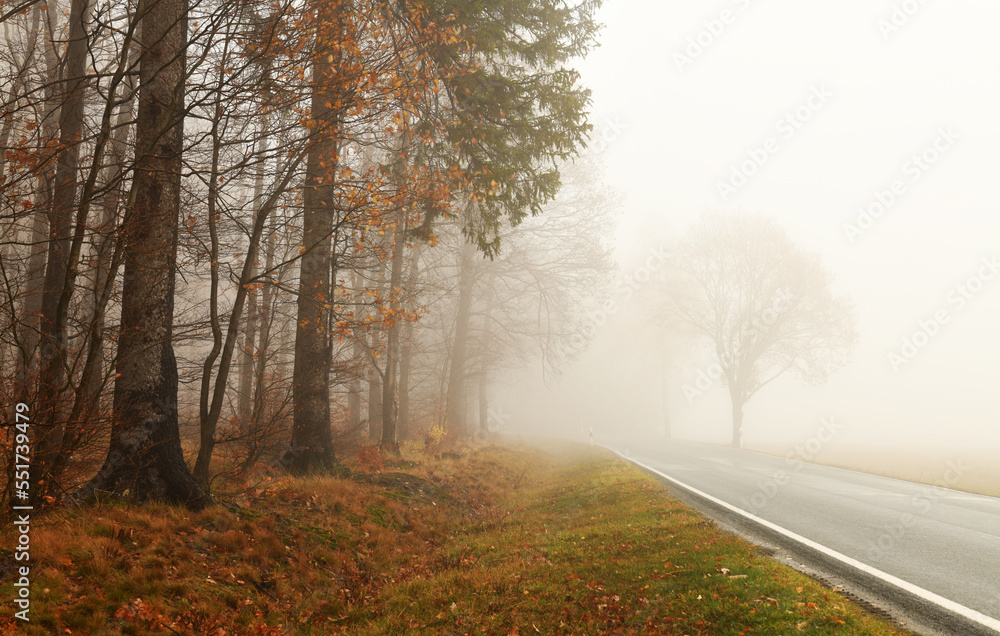 Straße an einem Waldrand bei Nebel Straße an einem Waldrand bei Nebel