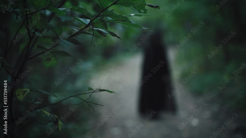 A terrible black figure without a face in a mystical forest. The horror ...