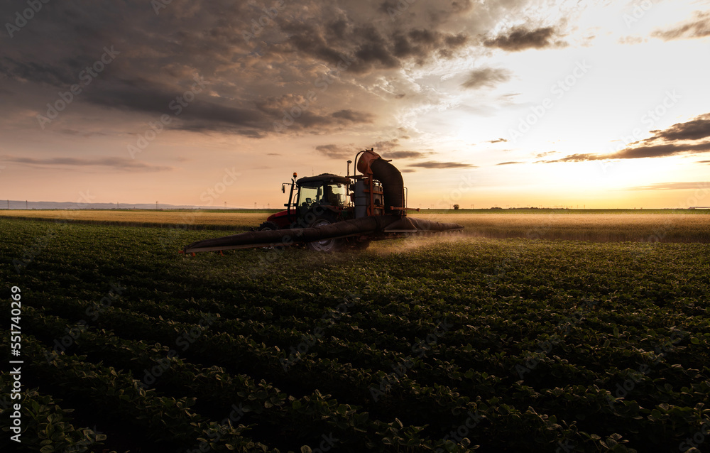 Fototapeta premium Tractor spraying soybean crops field
