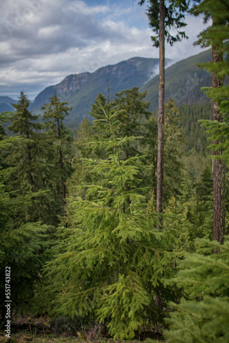 Crystal Mountain, Washington State © Libni