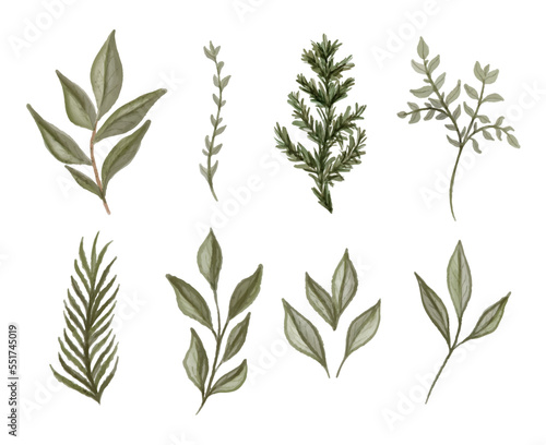 Set of herbal branch. green and gld leaves. Wedding concept. Vector arrangements for greeting card or invitation design.