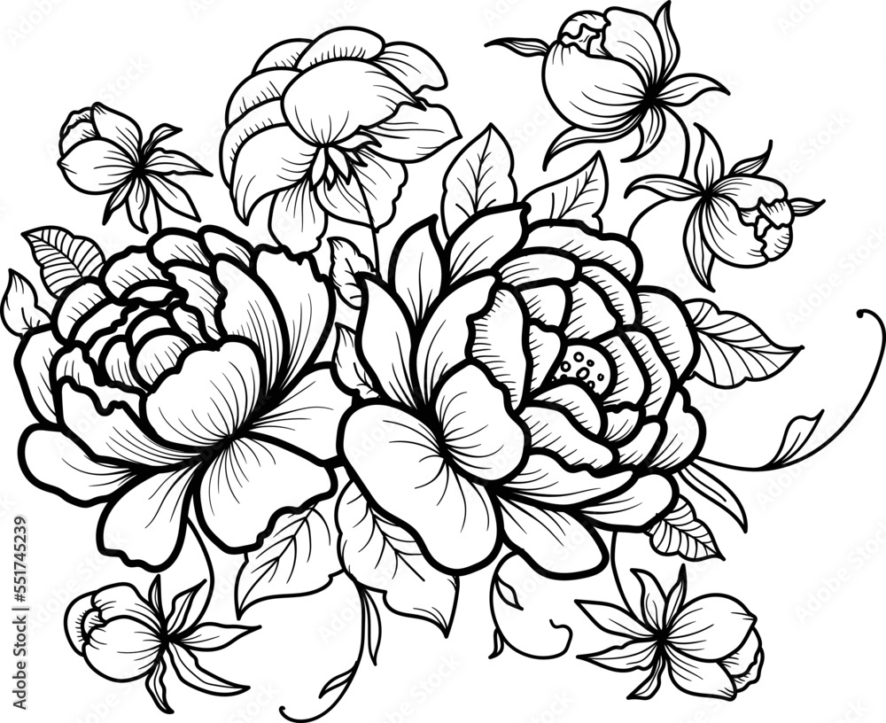 Obraz premium Blooming Rose, peony line art illustration. Hand drawn illustration. This art is perfect for invitation cards, autumn and summer decor, greeting cards, posters, scrapbooking, print, wallpaper.