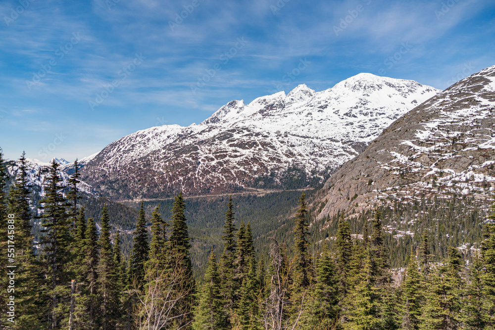 Obraz premium Alaska Railroad