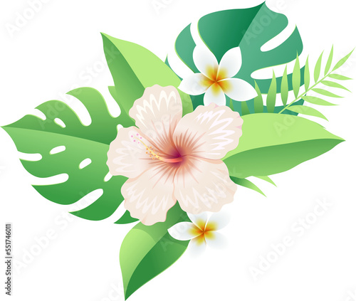 Hibiscus flowers on tropical leaf