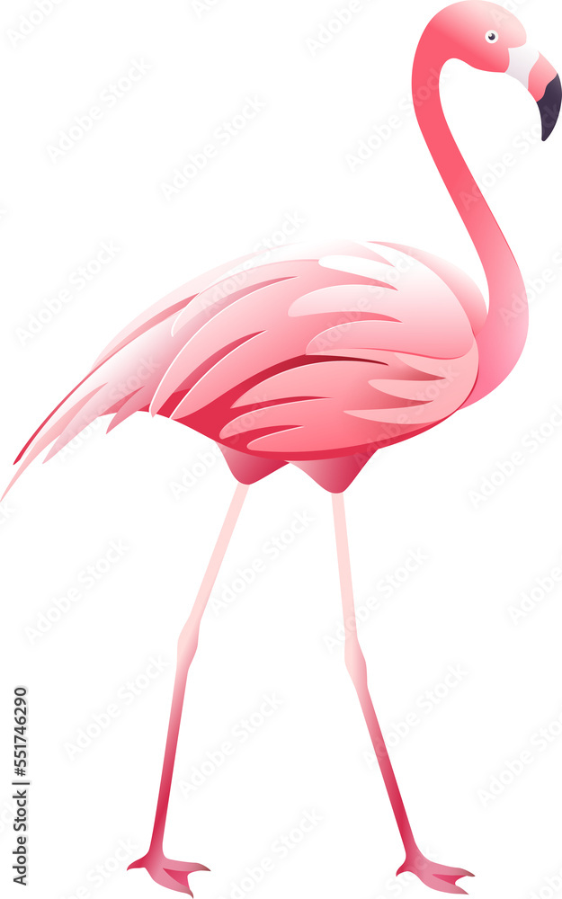 Obraz premium Pink flamingo