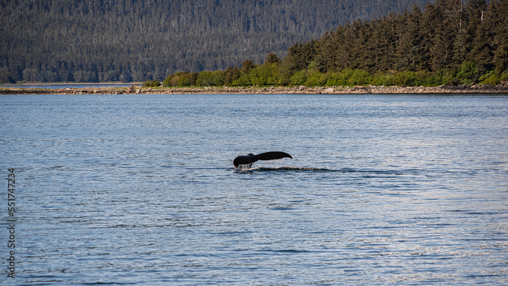 Obraz premium Alaskan Beauty