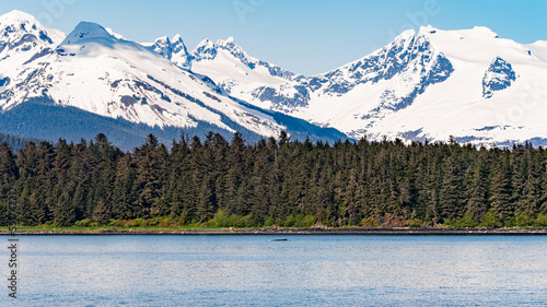 Fototapeta Naklejka Na Ścianę i Meble -  Alaskan Beauty