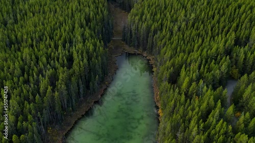 Scenic View of water in a mountain forest lake with pine trees. Aerial drone view of green lake and green forests in banff  national park. Crystal clear mountain lake between forest. 
