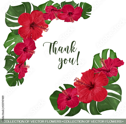 Vector tropical angle for floral design. Red Hibiscus, monstera leaves and palm trees. Tropical floral set 