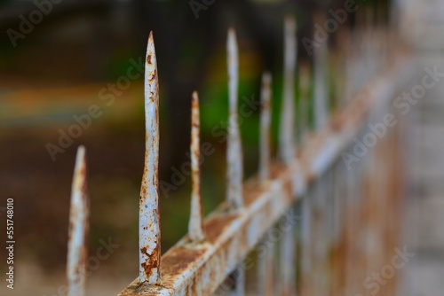 wrought iron front garden. Metal fence made of forged steel. Close up. 