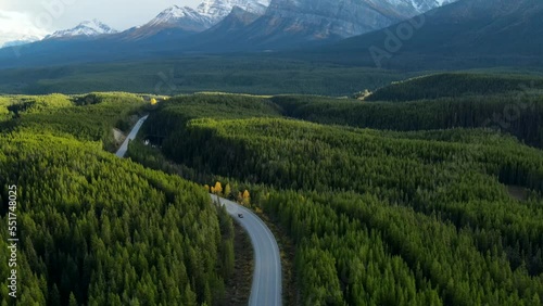 Aerial view of car driving through the forest in national park. Beautiful mountain road. Driving on the mountain road. Road trip. Mountain pine forest landscape. 