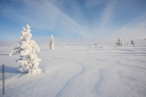 Winter landscape in Pallas Yllastunturi National Park, Lapland, Finland