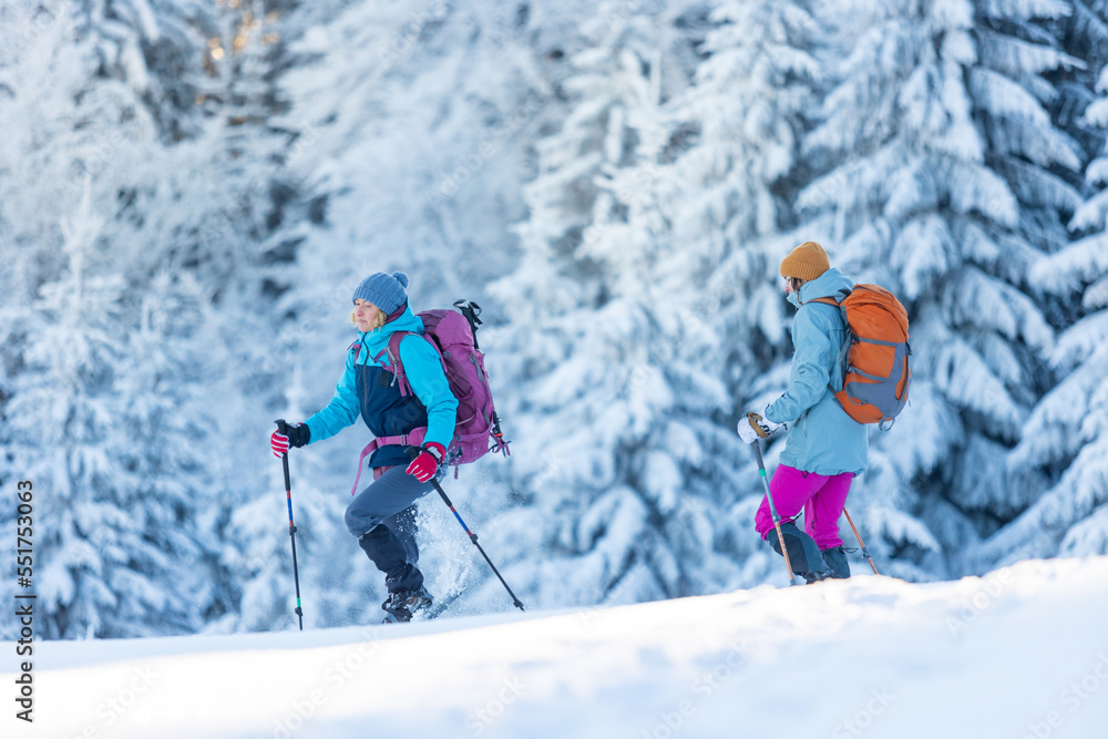 hiking in the mountains on snowshoes. two girls with backpacks go hiking in the snow. Travel and adventure concept. hiking in the mountains on snowshoes. two girls with backpacks go hiking in the snow. Travel and adventure concept.