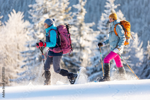 Quadro su tela hiking in the mountains on snowshoes