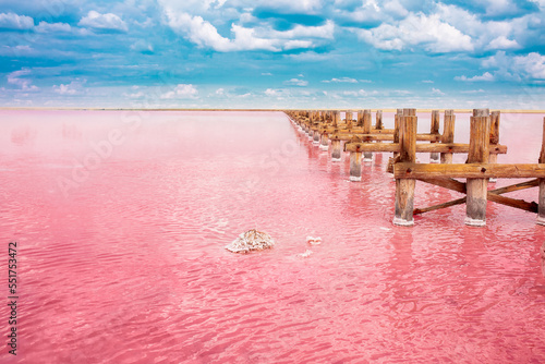 The pink lake is a beautiful landscape, unusual nature. A unique rare natural phenomenon. Salt lake with pink algae. Beautiful landscape. photo