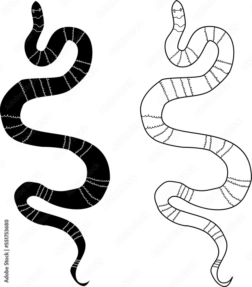 Lampropeltis triangulum vector.Sticker and hand drawn snake for tattoo.snake Reptile illustration. Lampropeltis triangulum vector.Sticker and hand drawn snake for tattoo.snake Reptile illustration.