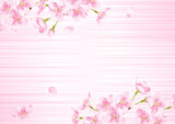 桜の水彩風イラスト　背景素材
