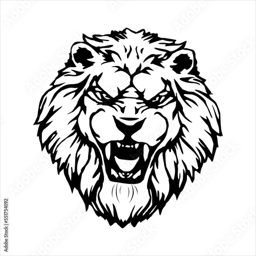 face of lion head with white illustration. vector illustration