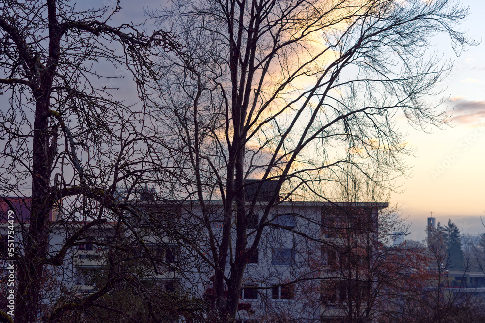 Fototapeta premium Beautiful colorful morning sky with cityscape of City of Zürich on a blue cloudy autumn day. Photo taken December 6th, 2022, Zurich, Switzerland.