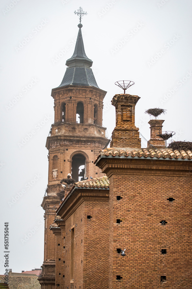Storks on the roofs of the collegiate church of San Miguel Arcangel, in Alfaro (Spain)