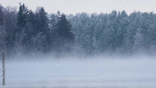 Frozen lake forest covered in fog. Misty winter woods