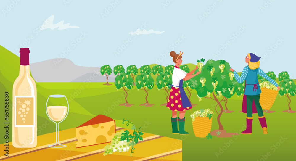 Fototapeta premium Farmer character winemaker work on wine plantation, factory production process flat vector illustration, worker harvest grape crop.