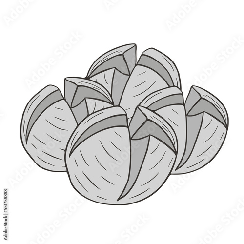 Bakso Indonesian Food Meat Ball Hand Drawn Doodle Vector Illustration