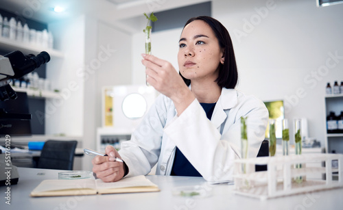 Scientist woman, test tube and plants in lab research, food security study or agriculture development. Asian doctor, plant expert or gene editing for leaf growth, healthy leaves or science in Tokyo
