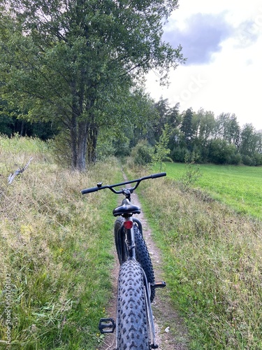 bicycle in the field