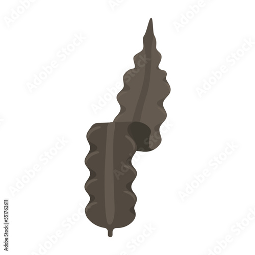 Vector illustration of kelp.