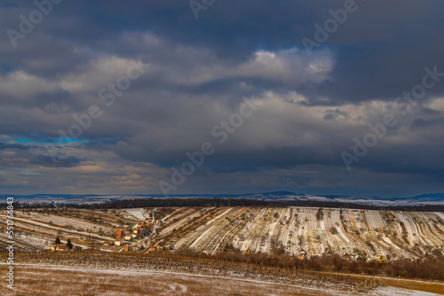 Winter vineyard near Mutenice, Southern Moravia, Czech Republic
