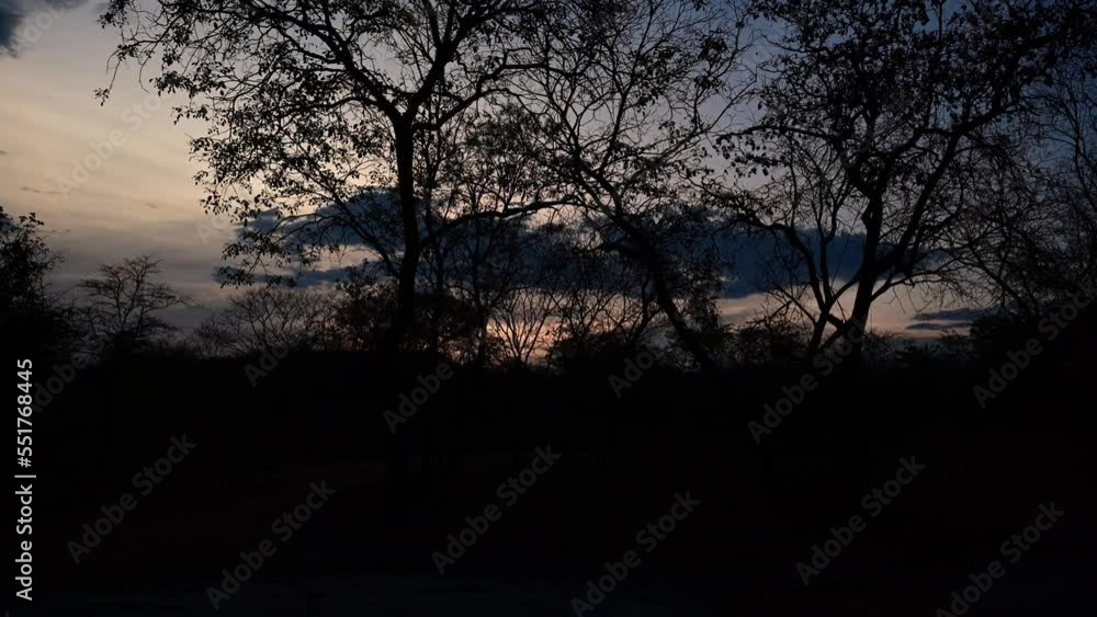 sunset in Zimbabwe, Africa bush timelapse. gorgeous golden hues sunset in Zimbabwe, Africa bush timelapse. gorgeous golden hues