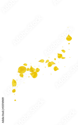 Yellow Petal Japanese Vector White Background.