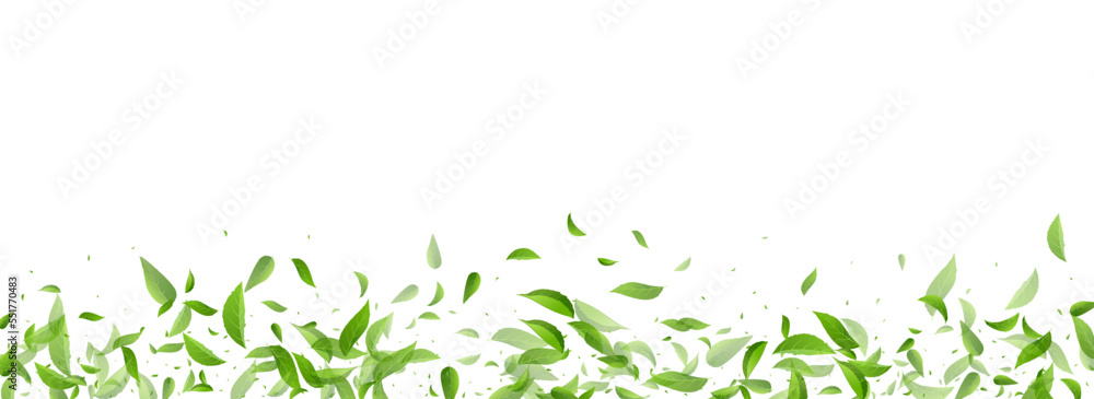 Lime Greens Realistic Vector Panoramic White Lime Greens Realistic Vector Panoramic White