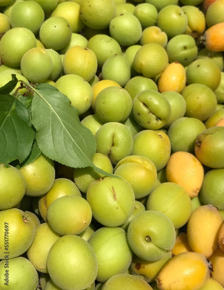 Japanese apricot / green apricot Japanese apricot / green apricot