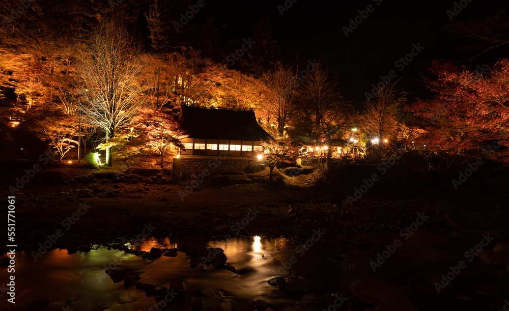 紅葉する香嵐渓のライトアップ　愛知県