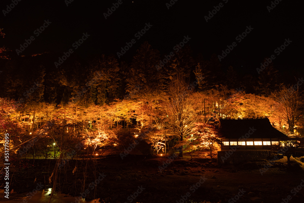 紅葉する香嵐渓のライトアップ　愛知県