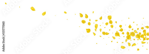 Gold Petal Fly Vector Panoramic White Background.