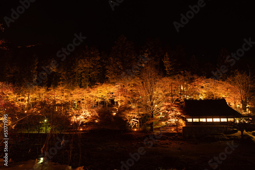 紅葉する香嵐渓のライトアップ　愛知県 © rai