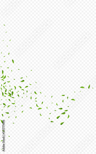 Lime Greens Fresh Vector Transparent Background