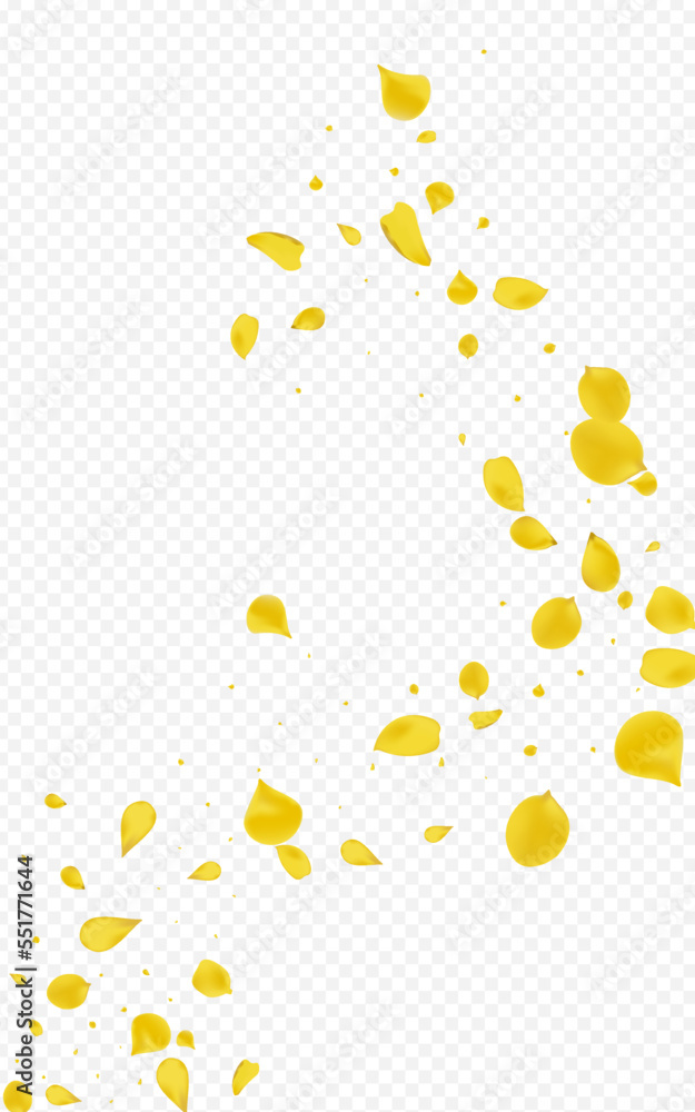 Gold Lotus Tender Vector Transparent Background. Gold Lotus Tender Vector Transparent Background.